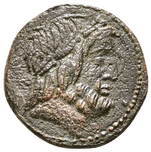 Volteius secolo fourree - 1°,